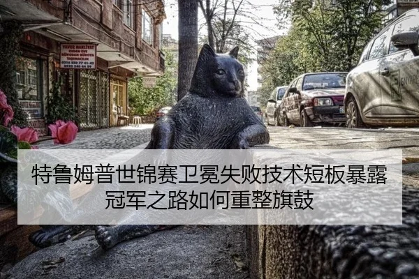 te-lu-mu-pu-shi-jin-sai-wei-mian-shi-bai-ji-shu-duan-ban-bao-lu-guan-jun-zhi-lu-ru-he-chong-zheng-qi-gu-3-139.jpg